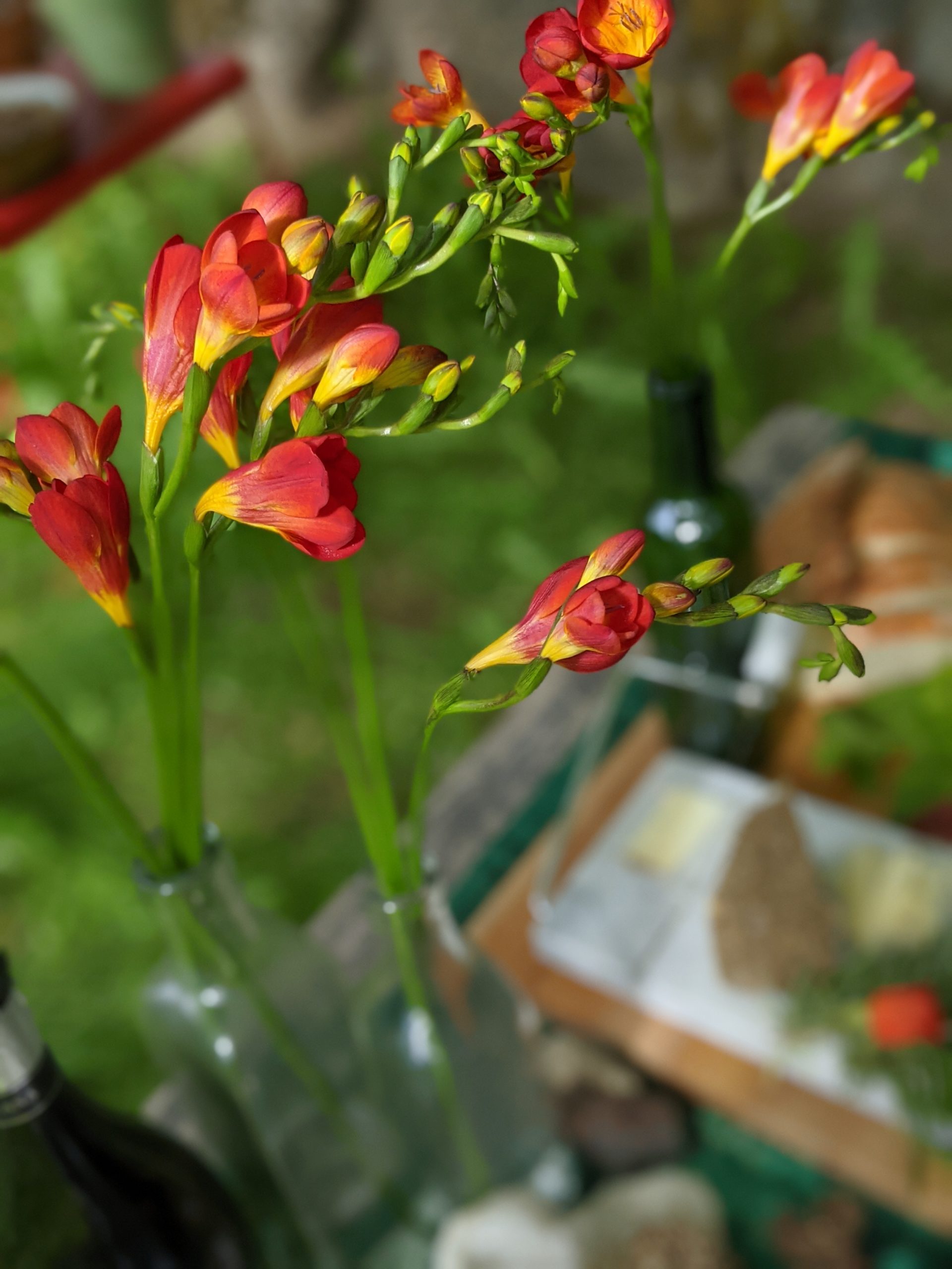 Stems of red-yellow flowers precede a luxurious picnic spread in the background